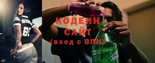 хмурый Арсеньев