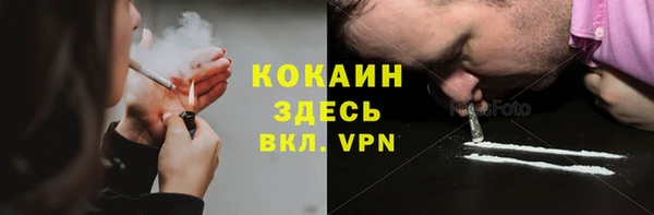 хмурый Арсеньев