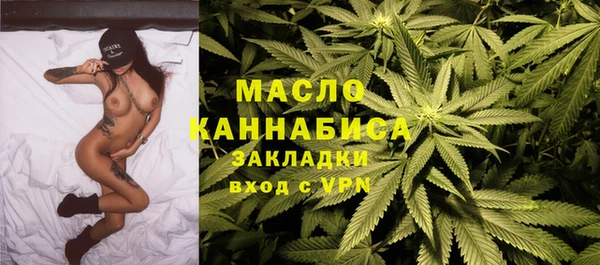 хмурый Арсеньев