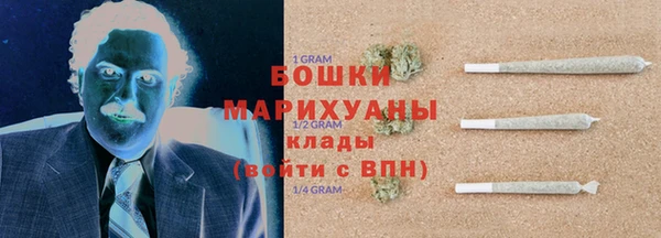 хмурый Арсеньев