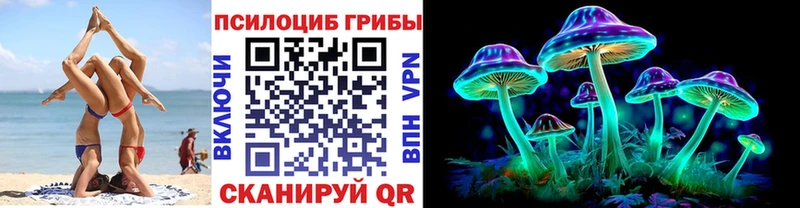 KRAKEN ONION  цена   Холмск  Псилоцибиновые грибы мицелий 